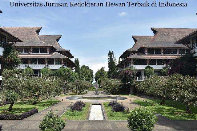 Empat Referensi Universitas Jurusan Kedokteran Hewan Terbaik di Indonesia, Lengkap dengan Akreditasinya